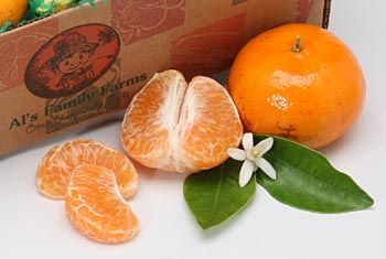 Al's Family Farms Honey Tangerines