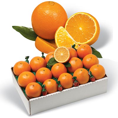 Spring Navel Oranges from Al's Family Farms
