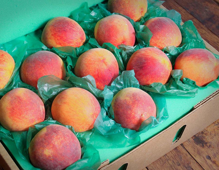 Chin Drip'n Southern Peaches