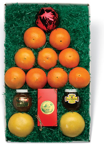 Citrus Tree Box