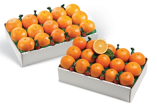 SolZest Mandarins