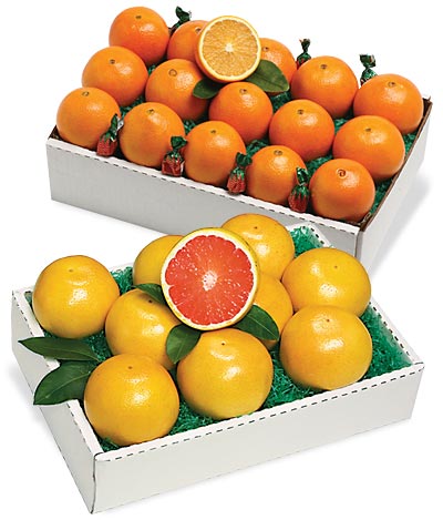 Spring Navel Oranges and/or Indian River Grapefruit from Al's Family Farms