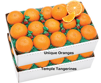 Al's Family Farms Valencia Oranges and Unique Oranges