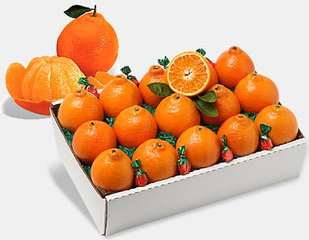 tangelo oranges
