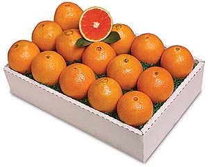 Christmas Red Navel Oranges