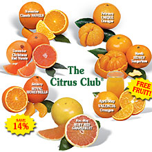 citrusclub-220.jpg (24 KB)