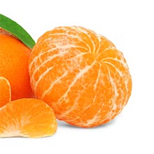 SolZest Mandarins
