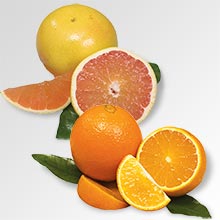 Spring Navel Oranges and/or Indian River Grapefruit from Al's Family Farms