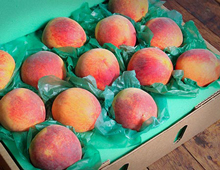 Geogia Peaches
