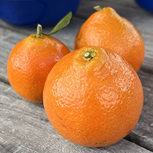 Early Pride Mandarins