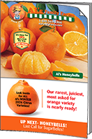 Honeybell & Winter Citrus brochure